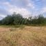  Land for sale in Juarez, Nuevo Leon, Juarez