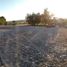  Land for sale in San Jose Iturbide, Guanajuato, San Jose Iturbide