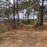  Terreno (Parcela) en venta en Mazamitla, Jalisco, Mazamitla