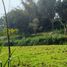  Terreno (Parcela) en venta en Lembang, West Jawa, Lembang