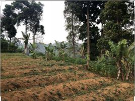  Land for sale in Sukabumi, West Jawa, Sukabumi, Sukabumi
