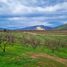  Land for sale in Chile, Lampa, Chacabuco, Santiago, Chile