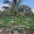 3 Bedroom Quinta for sale in Temozon, Yucatan, Temozon, Yucatan