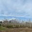  Terreno (Parcela) en venta en Maipo, Santiago, Buin, Maipo