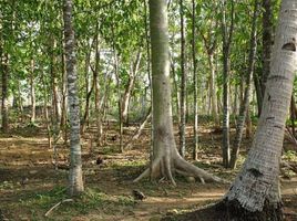  Tanah for sale in Yogyakarta, Pajangan, Bantul, Yogyakarta