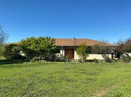  Terreno (Parcela) en venta en Ñuble, Chillan, Diguillín, Ñuble