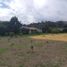  Land for sale in Guayllabamba, Quito, Guayllabamba