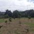  Land for sale in Guayllabamba, Quito, Guayllabamba