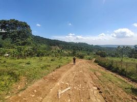  Land for sale in Bogor Selatan, Bogor, Bogor Selatan