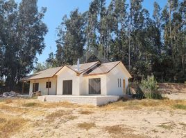  Land for sale in Chile, Coquimbo, Elqui, Coquimbo, Chile