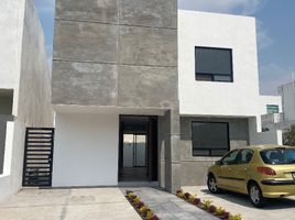 Appartement 4 chambre à vendre à Queretaro, Queretaro, Queretaro, Queretaro