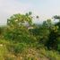  Terreno (Parcela) en venta en Talisay City, Central Visayas, Talisay City