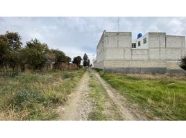  Grundstück zu verkaufen in Calpan, Puebla, Calpan