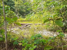  Land for sale in Yogyakarta, Tepus, Gunung Kidul, Yogyakarta