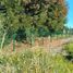  Land for sale in Chile, Santiago, Santiago, Santiago, Chile