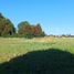  Land for sale in Chile, Santiago, Santiago, Santiago, Chile