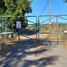  Land for sale in Chile, Santiago, Santiago, Santiago, Chile