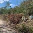  Grundstück zu verkaufen in Chicxulub Pueblo, Yucatan, Chicxulub Pueblo