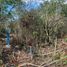  Grundstück zu verkaufen in Chicxulub Pueblo, Yucatan, Chicxulub Pueblo