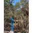  Grundstück zu verkaufen in Chicxulub Pueblo, Yucatan, Chicxulub Pueblo