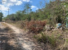  Grundstück zu verkaufen in Chicxulub Pueblo, Yucatan, Chicxulub Pueblo