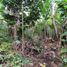  Land for sale in Ubud, Gianyar, Ubud