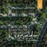  Land for sale in Quintana Roo Yucatan, Quintana Roo