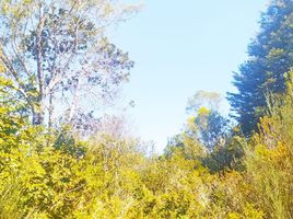  Land for sale in Universidad de la Frontera Campus Pucón, Pucon, Pucon