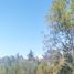  Land for sale in Universidad de la Frontera Campus Pucón, Pucon, Pucon