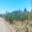  Land for sale in Universidad de la Frontera Campus Pucón, Pucon, Pucon