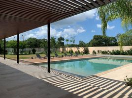  Grundstück zu verkaufen in Conkal, Yucatan, Conkal