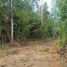  Terreno (Parcela) en venta en Loncoche, Cautín, Loncoche