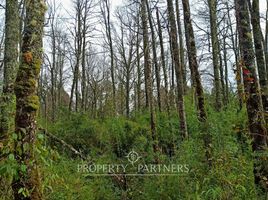  Terreno (Parcela) en venta en Loncoche, Cautín, Loncoche