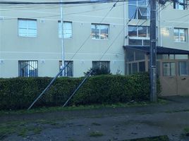 2 Habitación Apartamento en venta en Aeródromo "Los Maitenes", Mariquina, Mariquina