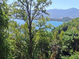 3 Habitación Apartamento en venta en Hospital San Francisco Pucon, Pucón, Pucón