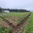  Land for sale in Maule, Maule, Talca, Maule