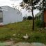  Land for sale in My Phuoc, Binh Duong, My Phuoc