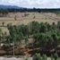  Land for sale in Chile, Mafil, Valdivia, Los Rios, Chile