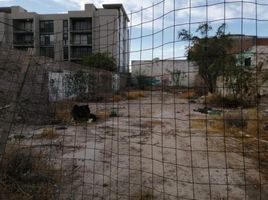  Terreno (Parcela) en venta en Torreon, Coahuila, Torreon