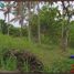  Land for sale in Selemadeg, Tabanan, Selemadeg