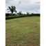  Terrain for sale in Barrio Colon, La Chorrera, Barrio Colon