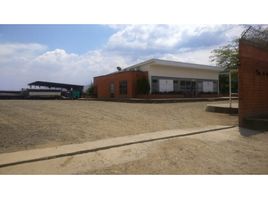  Terreno (Parcela) en venta en Sevilla, Valle Del Cauca, Sevilla