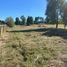  Terreno (Parcela) en venta en Llanquihue, Los Lagos, Frutillar, Llanquihue