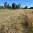  Terreno (Parcela) en venta en Llanquihue, Los Lagos, Frutillar, Llanquihue