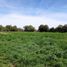  Land for sale in Soledad De Graciano Sanchez, San Luis Potosi, Soledad De Graciano Sanchez, San Luis Potosi