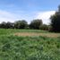  Land for sale in Soledad De Graciano Sanchez, San Luis Potosi, Soledad De Graciano Sanchez, San Luis Potosi