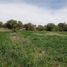  Land for sale in Soledad De Graciano Sanchez, San Luis Potosi, Soledad De Graciano Sanchez, San Luis Potosi