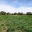  Land for sale in Soledad De Graciano Sanchez, San Luis Potosi, Soledad De Graciano Sanchez, San Luis Potosi