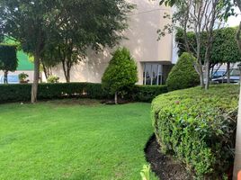 2 Schlafzimmer Appartement zu vermieten in Naucalpan De Juarez, Mexico, Naucalpan De Juarez