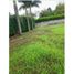  Land for sale in Palmira, Valle Del Cauca, Palmira